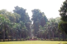 New Delhi 2013_74